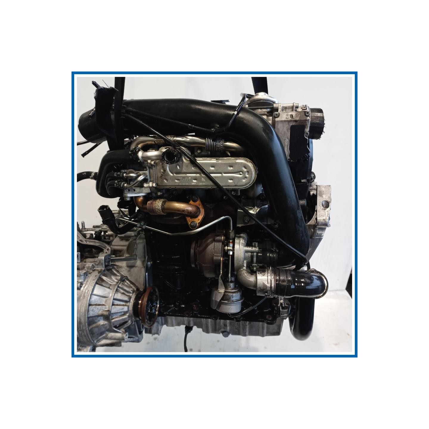Motore |  |  VOLKSWAGEN Golf Plus I