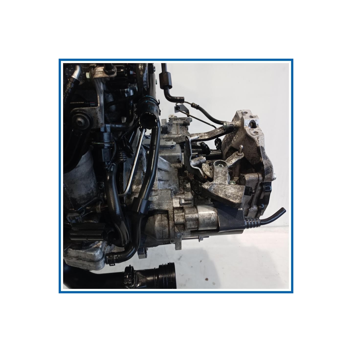 Cambio . |  |  VOLKSWAGEN Golf Plus I
