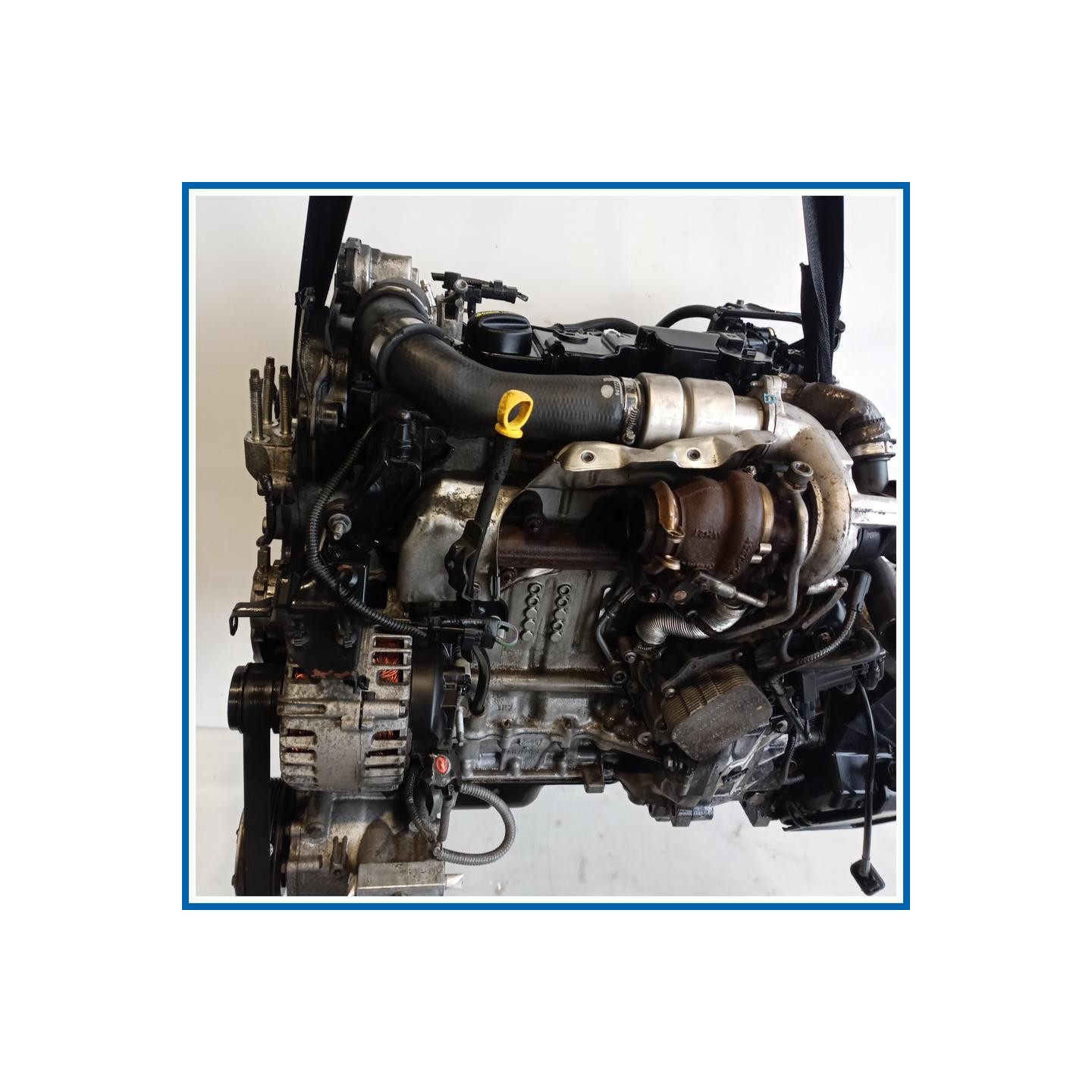 Motore semicompleto SERVICE ENGINE ASSY |  |  FORD Fiesta VI