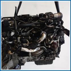 Motore semicompleto SERVICE ENGINE ASSY |  |  FORD Fiesta VI