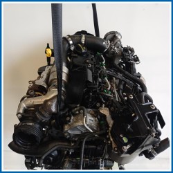 Motore semicompleto SERVICE ENGINE ASSY |  |  FORD Fiesta VI