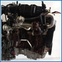 Motore semicompleto MOTORE K9K*740 |  |  RENAULT Twingo II