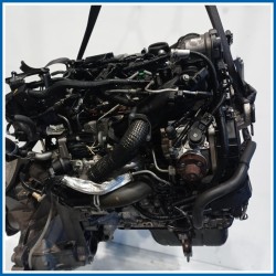 Motore semicompleto SERVICE ENGINE ASSY |  |  FORD Fiesta VI