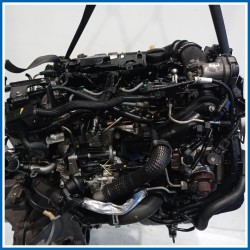 Motore semicompleto SERVICE ENGINE ASSY |  |  FORD Fiesta VI