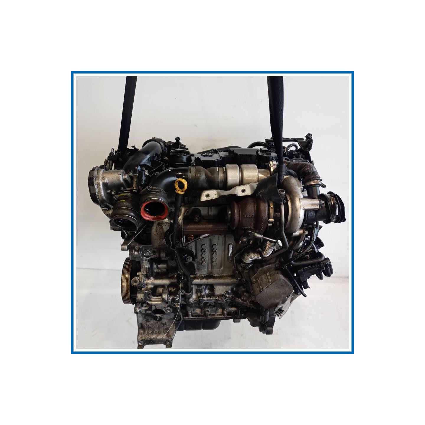 Motore semicompleto SERVICE ENGINE ASSY |  |  FORD Fiesta VI