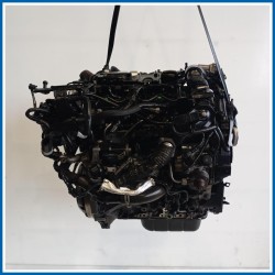 Motore semicompleto SERVICE ENGINE ASSY |  |  FORD Fiesta VI