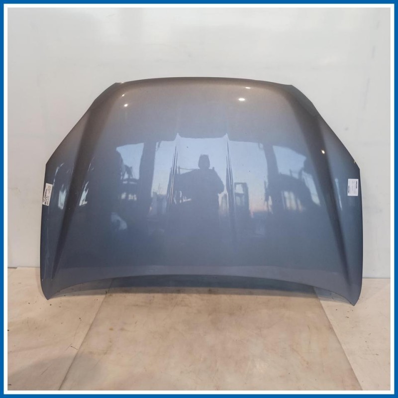 Cofano PNL ASSY-HOOD |  | ant. SSANGYONG Korando III