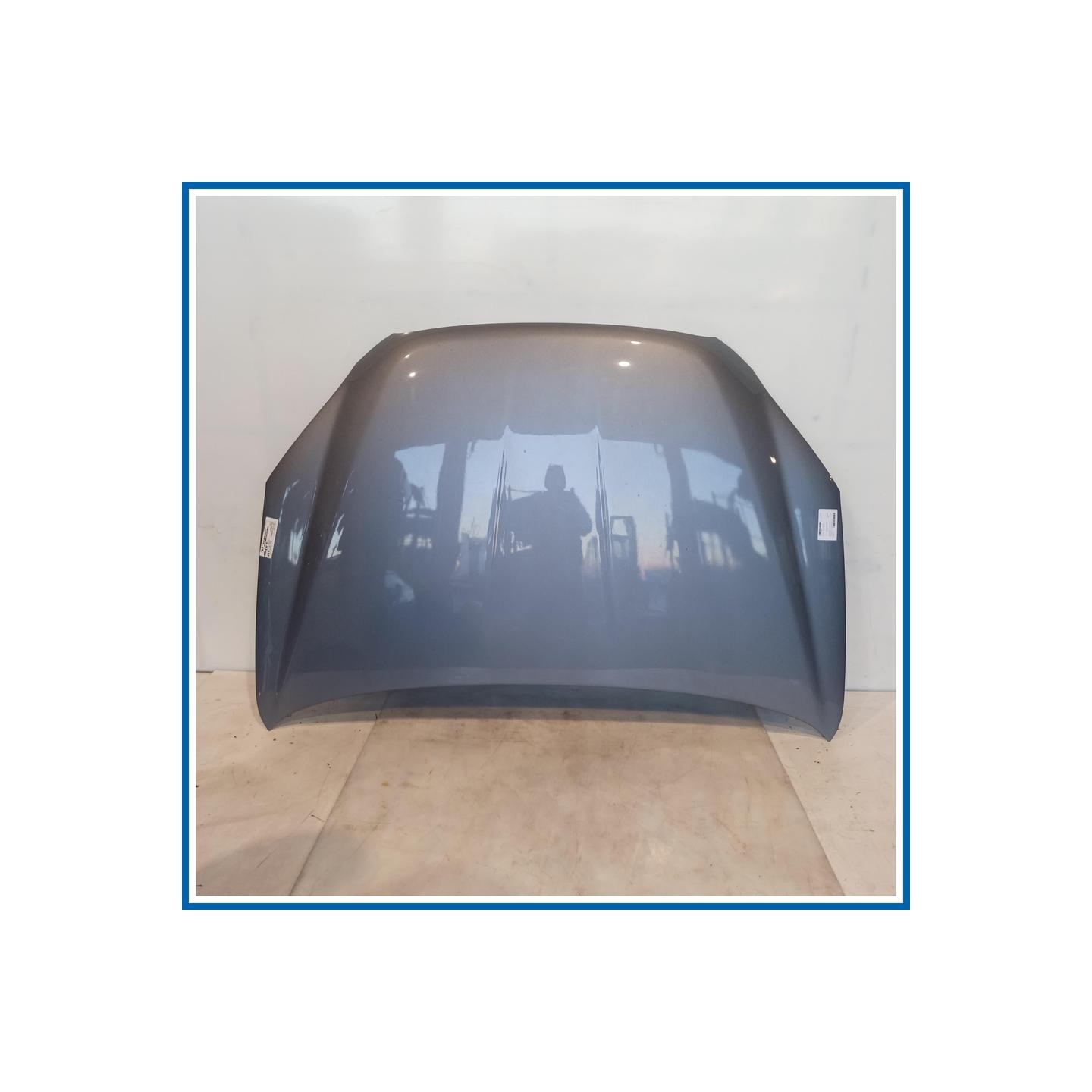 Cofano PNL ASSY-HOOD |  | ant. SSANGYONG Korando III