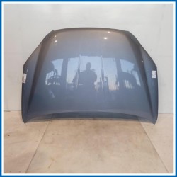 Cofano PNL ASSY-HOOD |  | ant. SSANGYONG Korando III