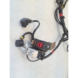 Cablaggio impianto elettrico telaio Piaggio Fly Fly 125 (disco post) (E3) 
