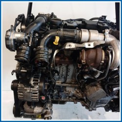 Motore semicompleto NEW ENGINES-DIESEL |  |  FORD B-Max