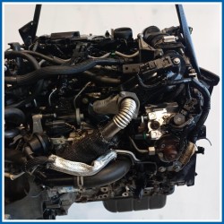 Motore semicompleto NEW ENGINES-DIESEL |  |  FORD B-Max