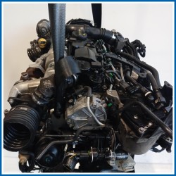 Motore semicompleto NEW ENGINES-DIESEL |  |  FORD B-Max