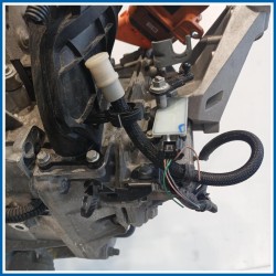 Cambio CAMBIO A UN RAPPORTO |  |  SMART Fortwo Coupe