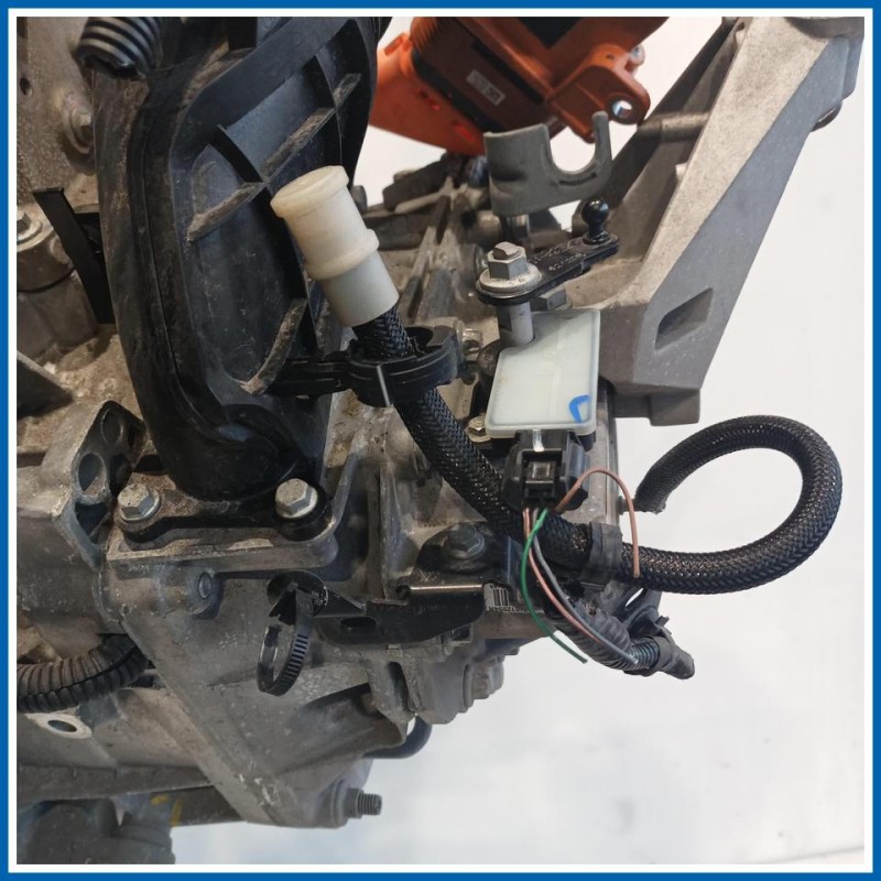 Cambio CAMBIO A UN RAPPORTO |  |  SMART Fortwo Coupe