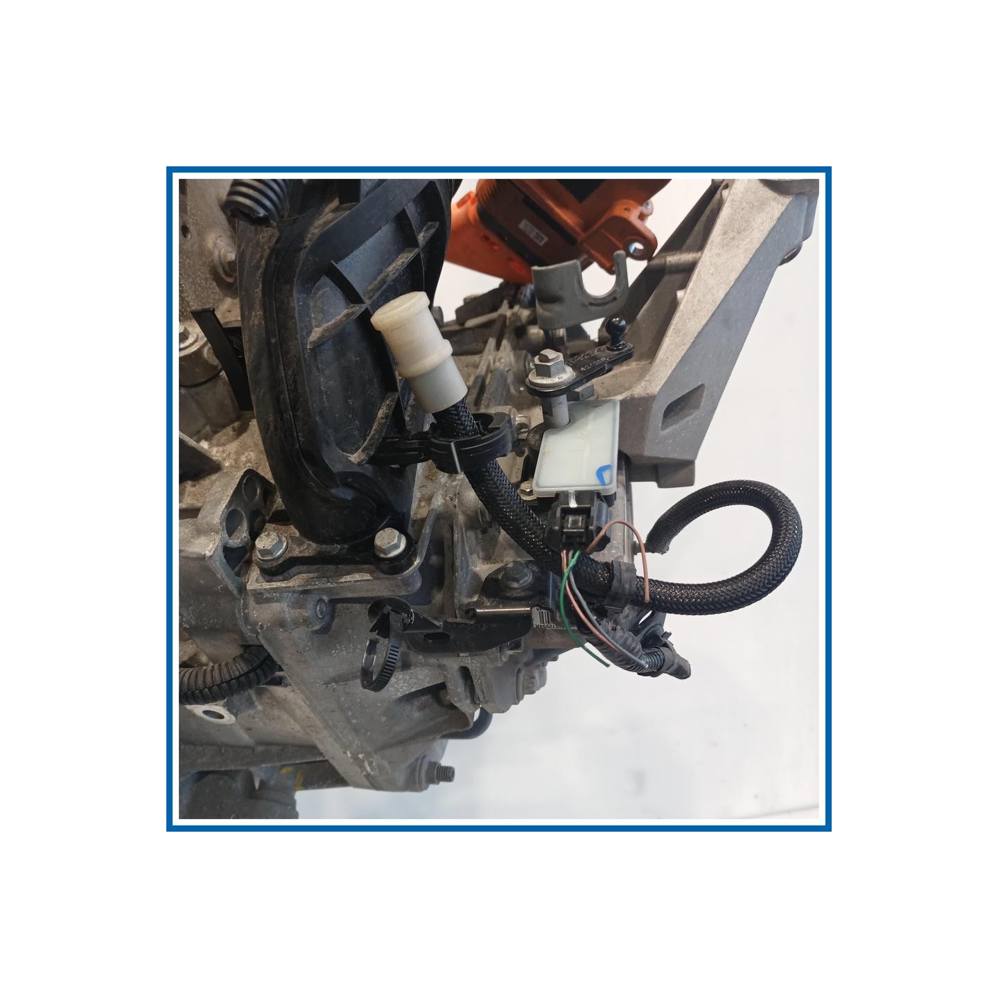 Cambio CAMBIO A UN RAPPORTO |  |  SMART Fortwo Coupe