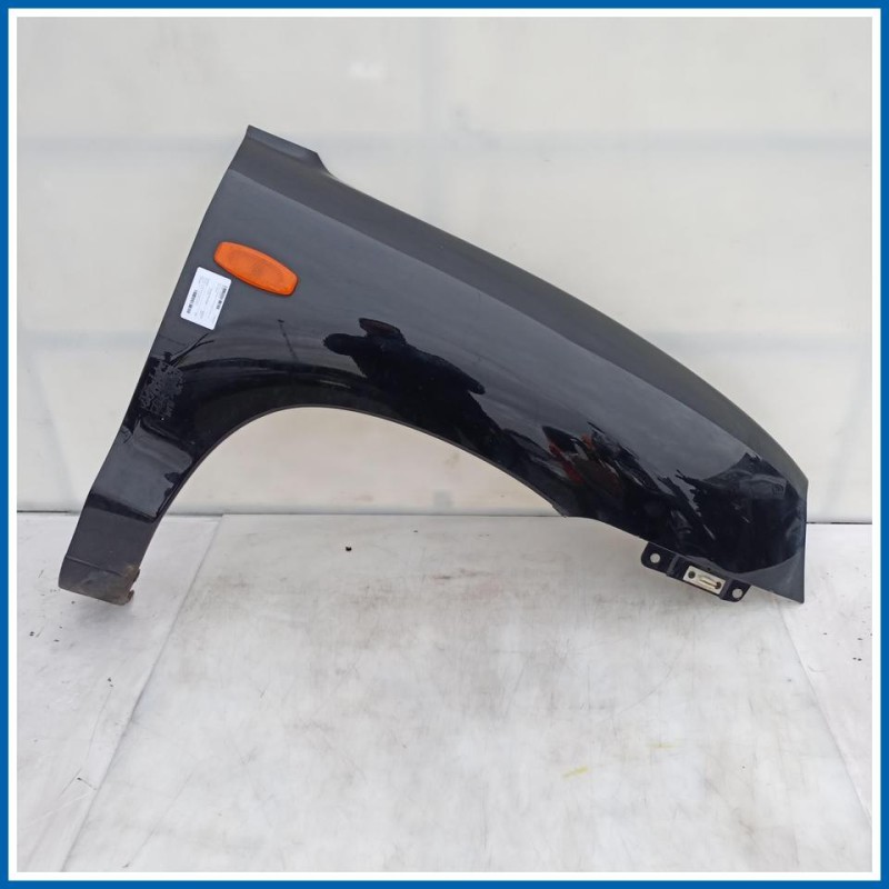 Parafango PANNELLO-PARAFANGHI, DX | dx. | ant. HYUNDAI Santa Fé I