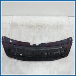 Griglia radiatore CALANDRA |  |  CITROEN C3 I