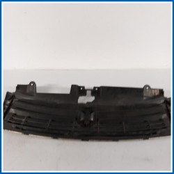 Griglia radiatore |  |  FIAT Scudo II
