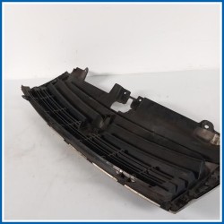 Griglia radiatore |  |  FIAT Scudo II