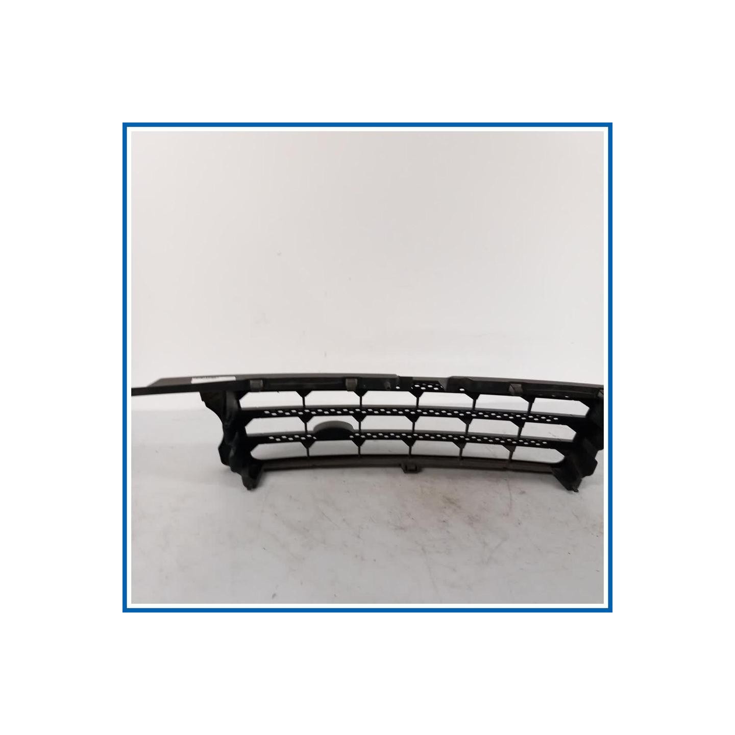 Griglia radiatore |  |  LAND ROVER Range Rover Sport I