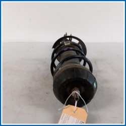 Ammortizzatore | dx. | ant. SUZUKI Baleno II