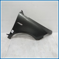 Parafango PARAFANGO ANT. | dx. | ant. LANCIA Ypsilon III