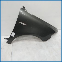 Parafango PARAFANGO ANT. | dx. | ant. LANCIA Ypsilon III