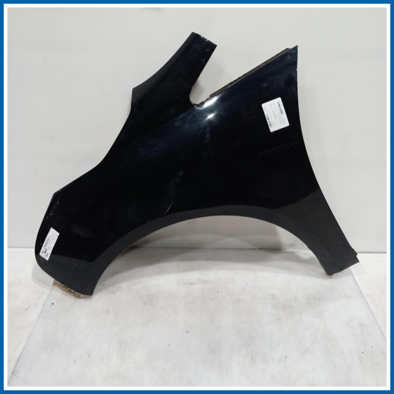 Parafango PARAFANGO ANT.SX NA0 | sx. | ant. MITSUBISHI Grandis