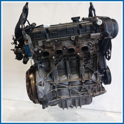 Motore semicompleto NEW ENGINES-PETROL |  |  FORD Focus IV