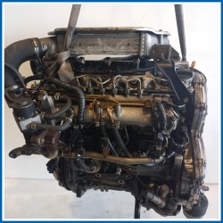 Motore semicompleto KIT MOTORE NUDO |  |  NISSAN X-Trail I