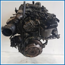 Motore semicompleto SERVICE ENGINE ASSY |  |  FORD Fiesta VI