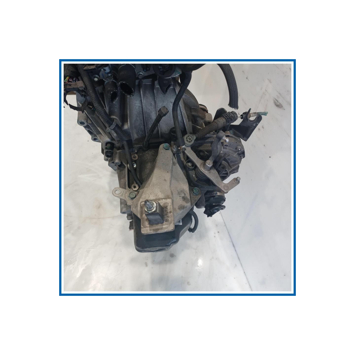 Cambio KIT RIPARTITORE |  |  NISSAN Micra IV