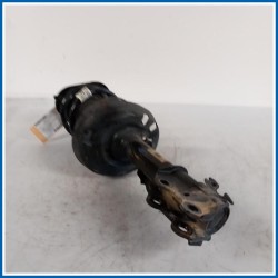 Ammortizzatore | sx. | ant. TOYOTA C-HR I