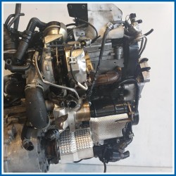 Motore semicompleto . |  |  AUDI Q3 8UG