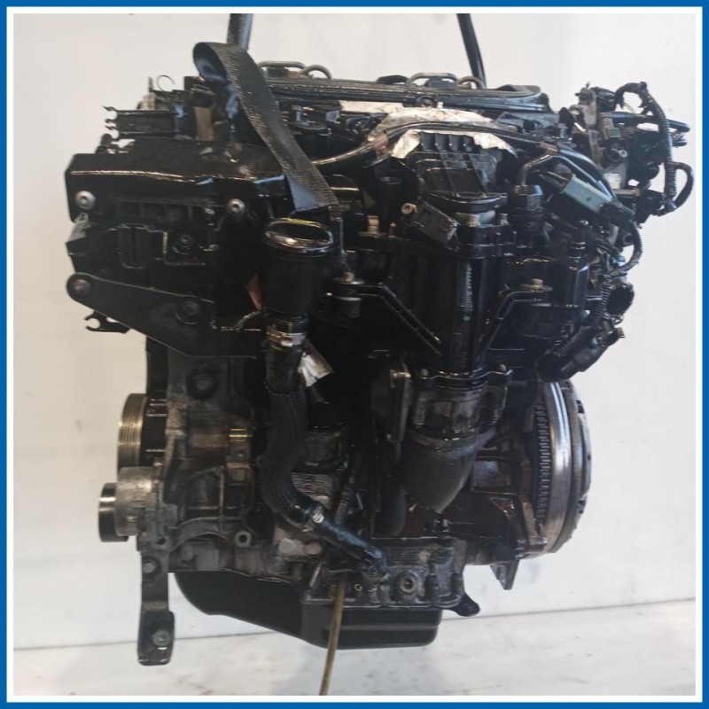 Motore semicompleto SERVICE ENGINE ASSY |  |  FORD Kuga I