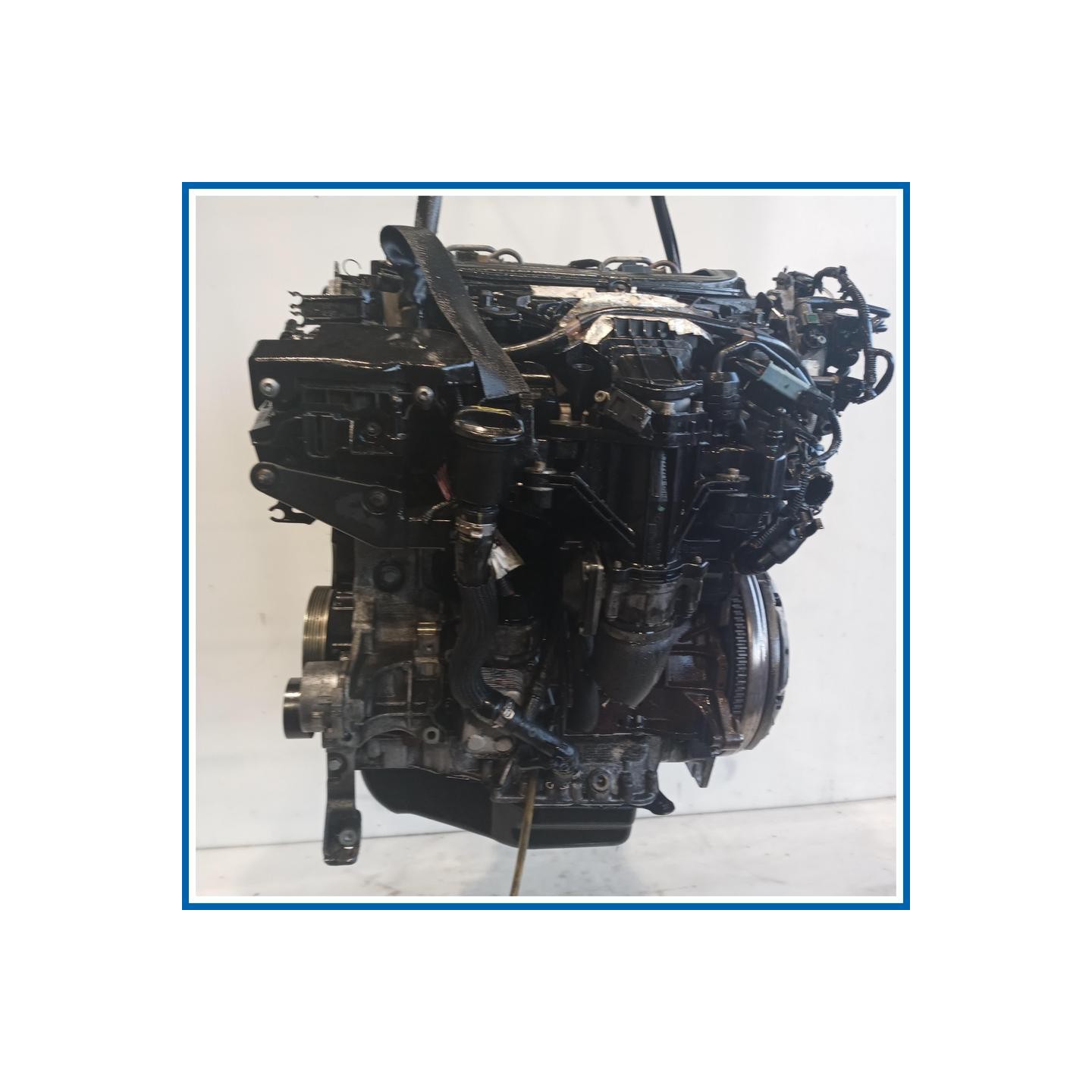 Motore semicompleto SERVICE ENGINE ASSY |  |  FORD Kuga I