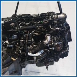 Motore semicompleto SERVICE ENGINE ASSY |  |  FORD Fiesta VI