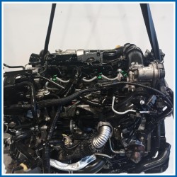 Motore semicompleto SERVICE ENGINE ASSY |  |  FORD Fiesta VI