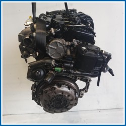 Motore semicompleto SERVICE ENGINE ASSY |  |  FORD Fiesta V