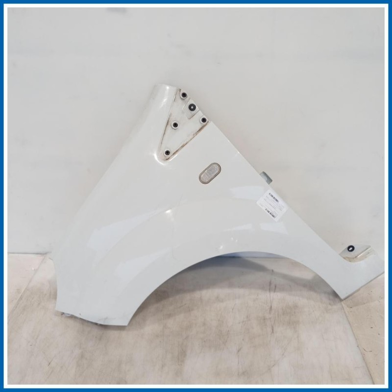 Parafango PARAFANGO ANT SX | sx. | ant. RENAULT Twingo II