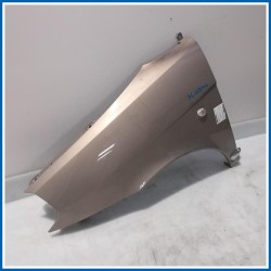 Parafango PARAFANGO ANT. | sx. | ant. LANCIA Ypsilon II