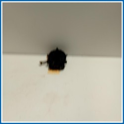 Piastra contatto CONTACT ASSY-CLOCK SPRING KIA Soul I