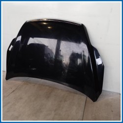 Cofano Hood Assy - Less Hinges | ant. FORD Focus III