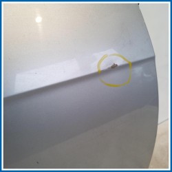 Porta . | dx. | post. VOLKSWAGEN Passat VI Variant