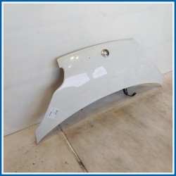 Cofano SPORTELLO DI MANUTENZIONE | ant. SMART Fortwo Coupé 451