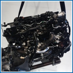 Motore semicompleto SERVICE ENGINE ASSY FORD Fiesta VI