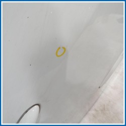 Porta PORTA PDX PRE | dx. | post. RENAULT Clio III