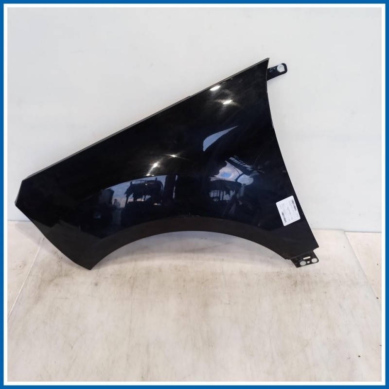 Parafango FENDER ASSY - FRONT | sx. | ant. FORD Ecosport