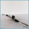 Scatola sterzo c/servosterzo SCATOLA GUIDA TOYOTA Yaris V